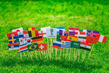 Tüm futbol ülkelerinin bayrakları yeşil çimlerde, futbol stadyumda.