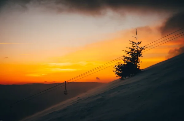 冬の山の針葉樹の木 背景にカラフルな黄色とオレンジの夕日 スキー場 クリスマスの写真 編集スペース — ストック写真