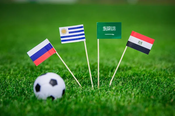 Flagi Narodowe Rosji Arabii Saudyjskiej Egiptu Urugwaju Flagi Zielonej Trawie — Zdjęcie stockowe