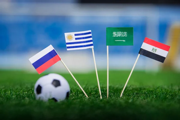 National Flags Russia Saudi Arabia Egypt Uruguay Flags Green Grass — Stock Photo, Image