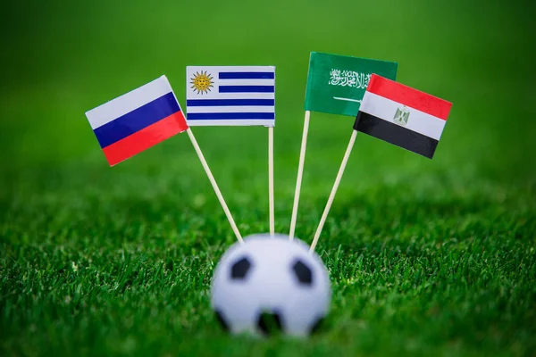 National Flags Russia Saudi Arabia Egypt Uruguay Flags Green Grass — Stock Photo, Image