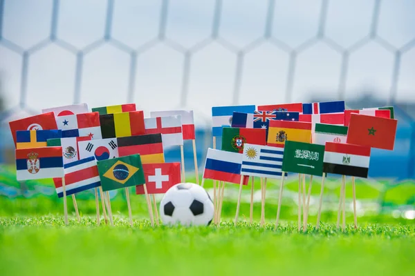 Флаги Футбольных Стран Зеленой Траве Футбольный Мяч Стадионе — стоковое фото