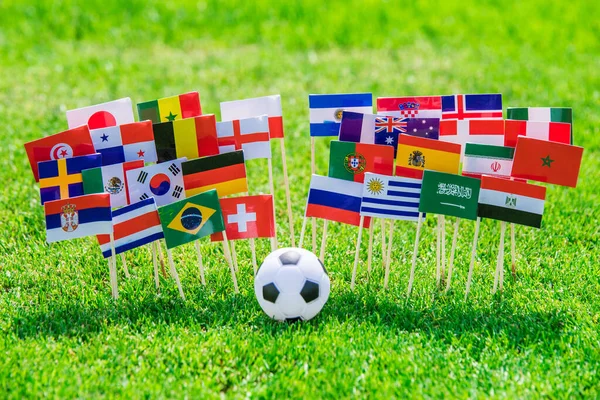 Flags Football Pitch Tournament Photo Fans Support Concept Photo — Stock Photo, Image
