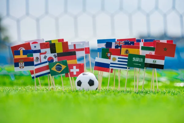 Tüm futbol ülkelerinin bayrakları yeşil çimlerde, futbol stadyumda.
