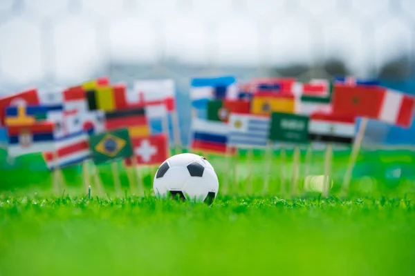 Nationale Vlaggen Van Alle Voetballanden Groen Gras Voetbal Het Stadion — Stockfoto