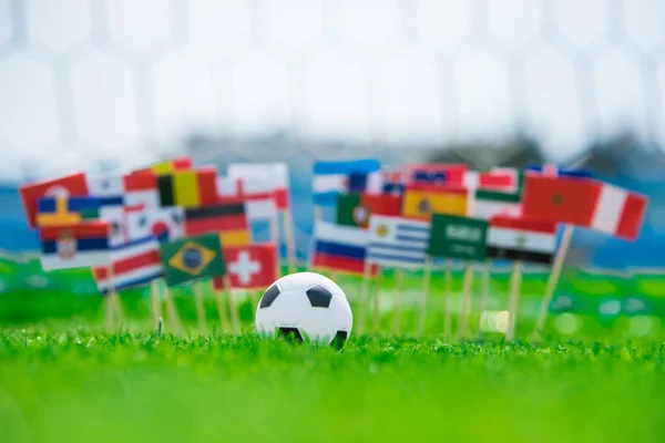 Flags Football Pitch Tournament Photo Fans Support Concept Photo — Stock Photo, Image