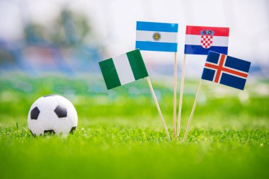 Ulusal Arjantin, İzlanda, Hırvatistan, Nijerya Bayrakları. Futbol stadyumunda yeşil çimlerin üzerinde bayraklar