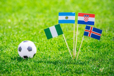 Ulusal Arjantin, İzlanda, Hırvatistan, Nijerya Bayrakları. Futbol stadyumunda yeşil çimlerin üzerinde bayraklar