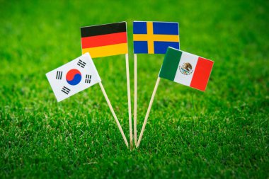 Almanya Ulusal Bayrağı, Meksika, İsveç, Kore Cumhuriyeti, Güney Kore