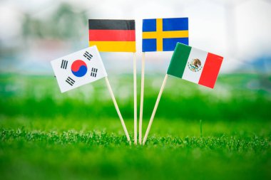 Almanya Ulusal Bayrağı, Meksika, İsveç, Kore Cumhuriyeti, Güney Kore