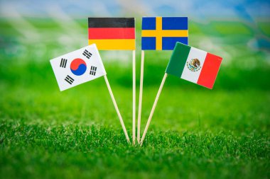 Almanya Ulusal Bayrağı, Meksika, İsveç, Kore Cumhuriyeti, Güney Kore