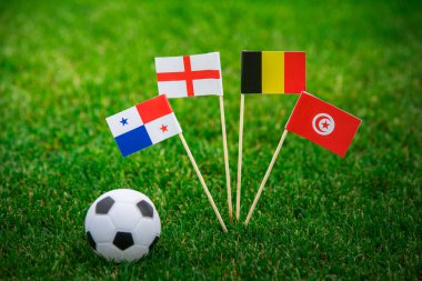 Belçika, Tunus, İngiltere - Yeşil futbol çimleri üzerinde ulusal bayraklar. Resmi kabul et, boşluğu düzenle.