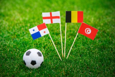 Belçika, Panam, Tunus, İngiltere - Yeşil futbol çimleri üzerinde ulusal bayraklar. Resmi kabul et, boşluğu düzenle.