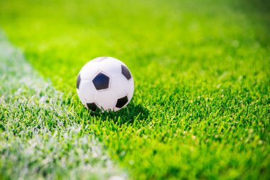 Beyaz çizginin yanındaki yeşil çimlerin üzerinde futbol topu. Spor fotoğrafı, alanı düzenle.