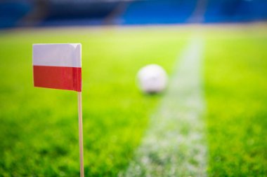 Polonya bayrağı ve futbol topu yeşil çimlerin üzerinde. Hayranlar, fotoğrafı destekleyin, alanı düzenleyin