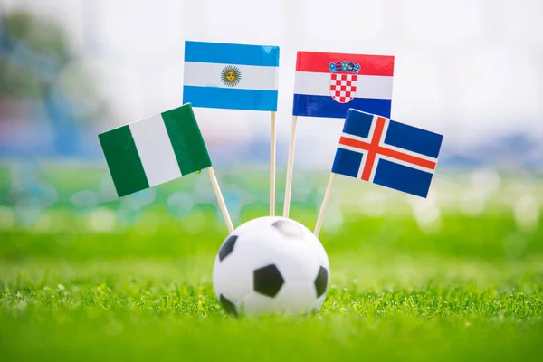 アルゼンチン アイスランド クロアチア ナイジェリアの国旗 サッカースタジアムの緑の芝生の上の旗 — ストック写真