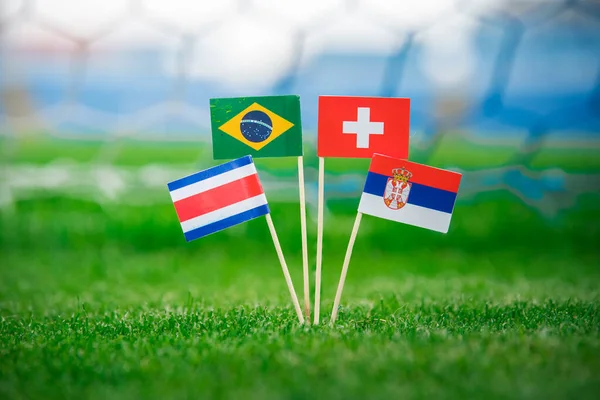 Brezilya Ulusal Bayrakları, İsviçre, Kosta Rika, Sırbistan. Futbol stadyumunda yeşil çimlerin üzerinde bayraklar