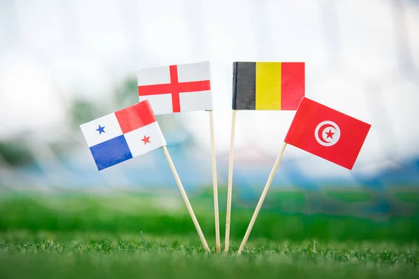 Бельгия Тунис Англия Национальные Флаги Зеленой Футбольной Траве Концепция Фото — стоковое фото