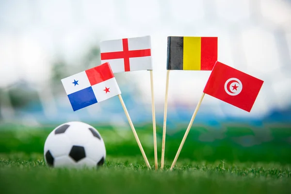 Belgia Tunezja Anglia Flagi Narodowe Zielonej Trawie Piłkarskiej Koncepcja Zdjęcia — Zdjęcie stockowe