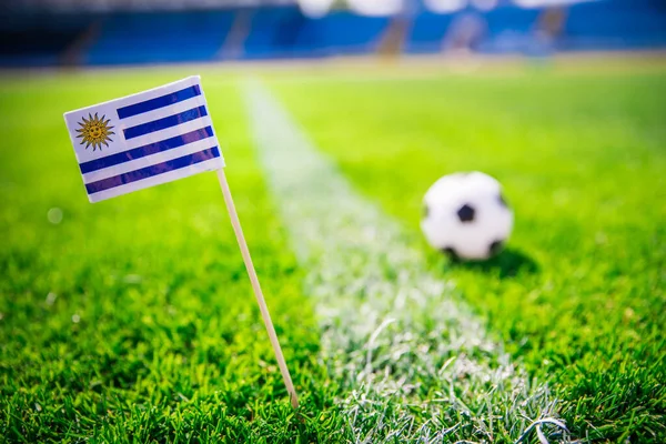 ウルグアイ国旗と緑の芝生の上でサッカーボール ファン サポート写真 編集スペース — ストック写真