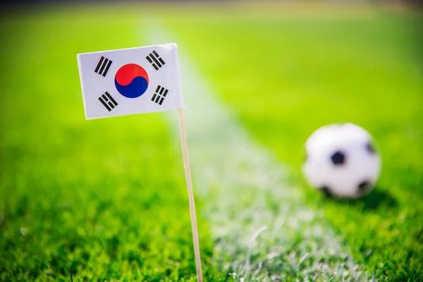 South Korea national Flag and football ball on green grass. Fans, support photo, edit space