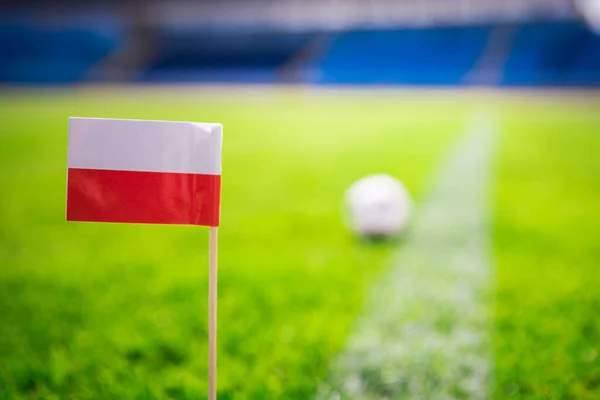 Polnische Nationalflagge Und Fußball Auf Grünem Rasen Fans Foto Unterstützen — Stockfoto