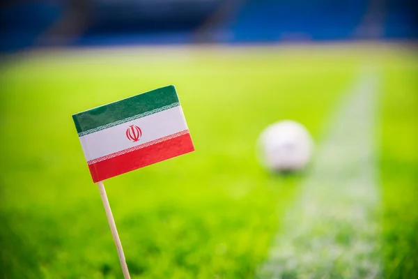 Iran Національний Прапор Футбольний Зеленій Траві Фани Підтримувати Фото Редагувати — стокове фото