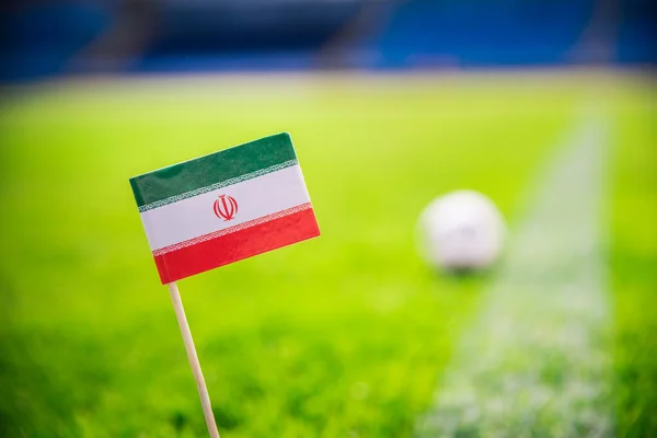 Iran Національний Прапор Футбольний Зеленій Траві Фани Підтримувати Фото Редагувати — стокове фото