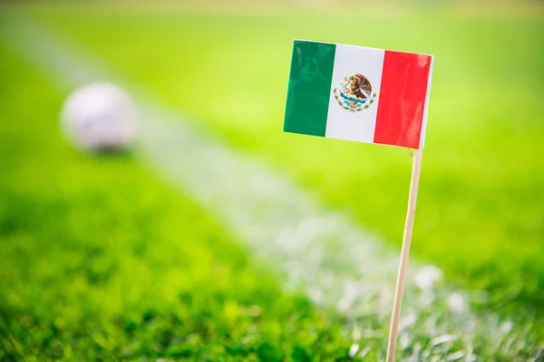 Εθνική Σημαία Μεξικού Και Μπάλα Ποδοσφαίρου Στο Πράσινο Γρασίδι Φίλαθλοι — Φωτογραφία Αρχείου