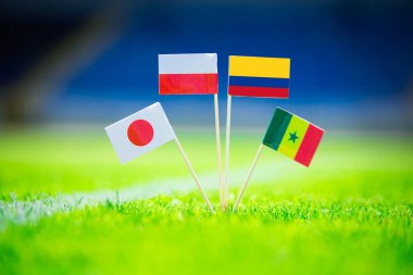 Polonya, Senegal, Columbia, Japonya ulusal bayrağı ve yeşil çimlerde futbol topu. Hayranlar, fotoğrafı destekleyin, alanı düzenleyin