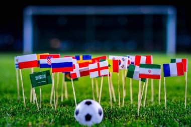 Yeşil çimlerde futbol topu ve Dünya Kupası 'nın tüm ulusal bayrakları