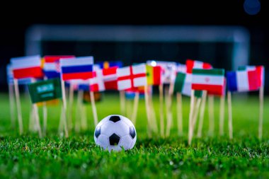 Yeşil çimlerde futbol topu ve Dünya Kupası 'nın tüm ulusal bayrakları