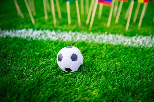 Voetbal Voetbal Groen Gras — Stockfoto