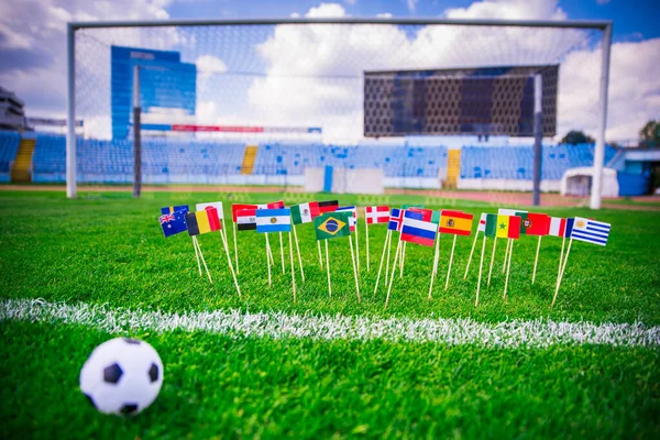 Voetbal Veld Wereld Naties Vlaggen Blauwe Lucht Voetbal Net Achtergrond — Stockfoto