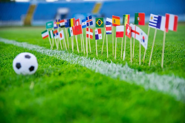 Bandeiras Todas Nações Futebol Grama Verde Bola Futebol Fãs Foto — Fotografia de Stock