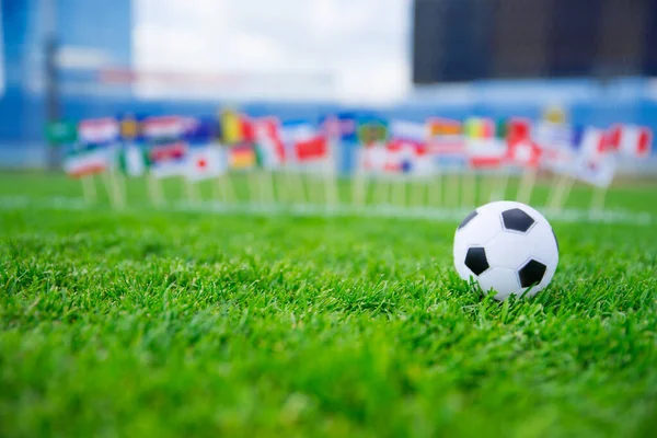 All Nations Flag Football Green Grass Football Net Blue Sky — Stock Photo, Image