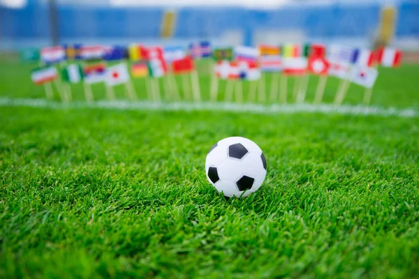 Flagi Wszystkich Narodów Piłkarskich Zielonej Trawie Piłka Nożna Fani Wsparcie — Zdjęcie stockowe
