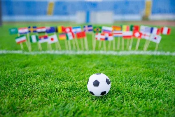 Voetbal Veld Wereld Naties Vlaggen Blauwe Lucht Voetbal Net Achtergrond — Stockfoto