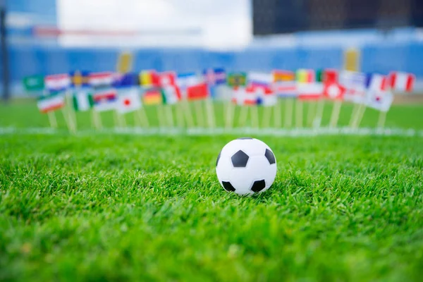 Drapeaux Toutes Les Nations Football Sur Herbe Verte Balle Football — Photo