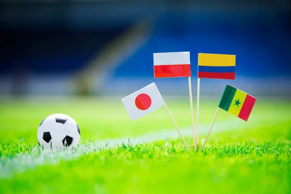 Poland Senegal Columbia Japan National Flag Football Ball Green Grass — Stock Photo, Image
