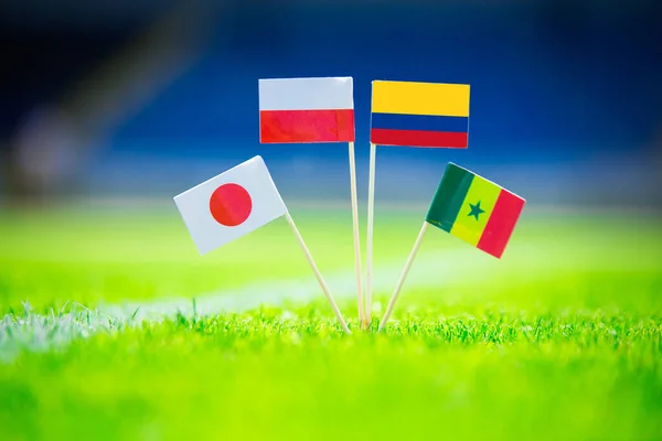 Polska Senegal Kolumbia Japonia Narodowa Flaga Piłka Nożna Zielonej Trawie — Zdjęcie stockowe