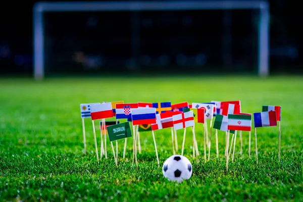 월드컵의 — 스톡 사진