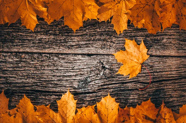 Jesienne Tło Żółtymi Kolorowymi Liśćmi Klonu Drewnianej Planszy Środku Jesieni — Zdjęcie stockowe