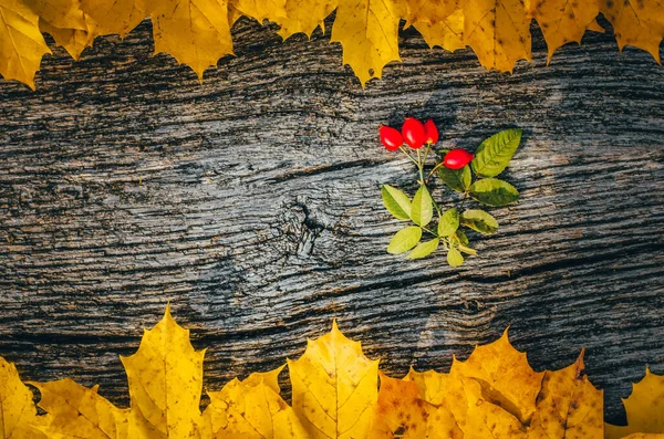 Fondo Otoñal Con Hojas Arce Color Amarillo Sobre Tabla Madera — Foto de Stock