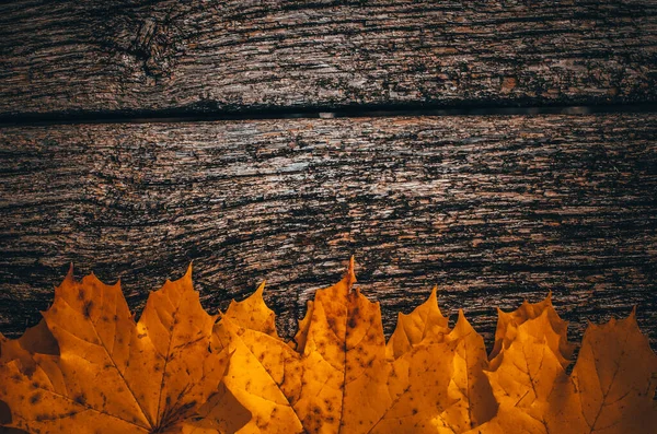 Fond Automne Avec Des Feuilles Couleur Jaune Sur Panneau Bois — Photo