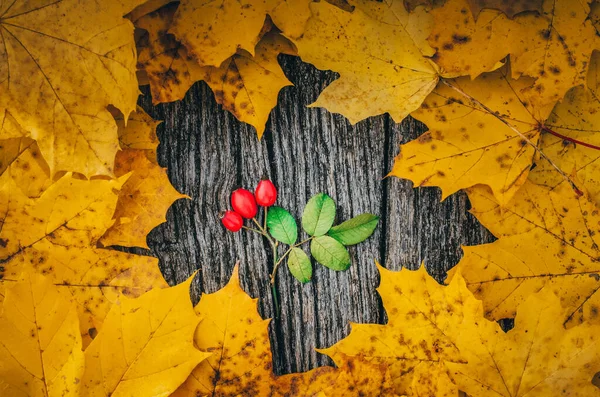 Fondo Otoñal Con Hojas Arce Color Amarillo Sobre Tabla Madera — Foto de Stock