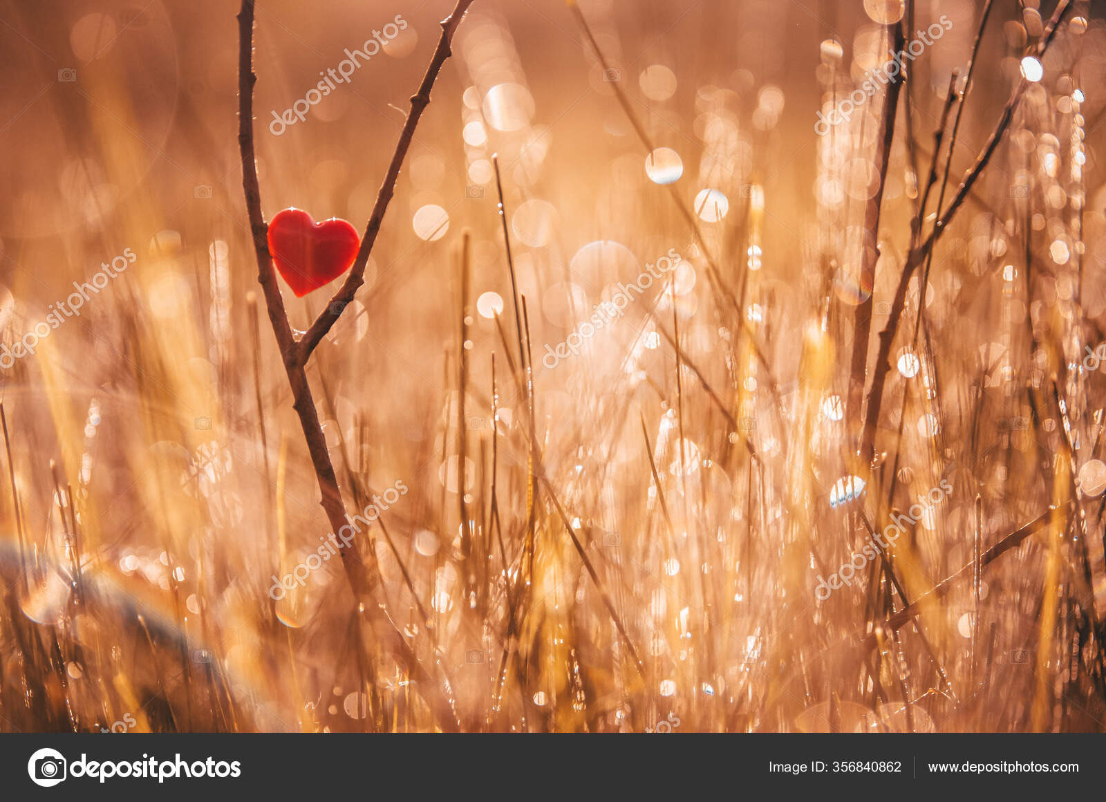 Red Heart Nature Wonderful Morning Drops Background Beautiful Light Original Stock Photo by ©kovop58@ 356840862 Red Heart Nature Wonderful Morning Drops Background Beautiful Light Original Stock Photo by ©kovop58@ 356840862