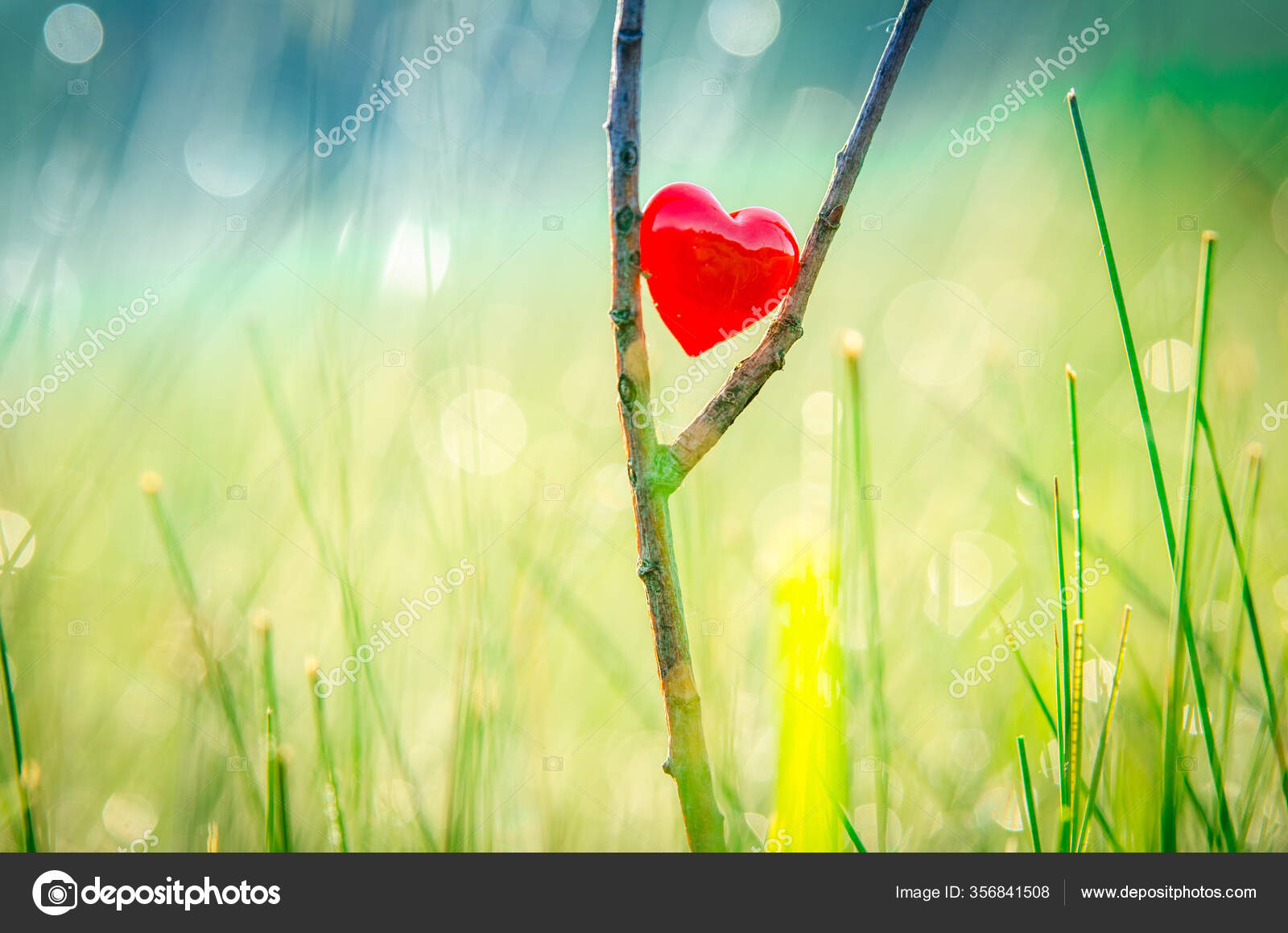 Red Heart Nature Wonderful Morning Drops Background Beautiful Light Original Stock Photo by ©kovop58@ 356841508 Red Heart Nature Wonderful Morning Drops Background Beautiful Light Original Stock Photo by ©kovop58@ 356841508