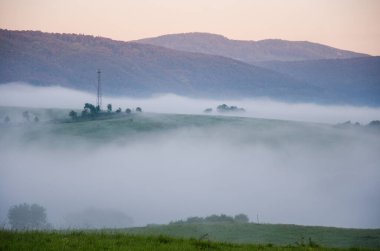 Çavdar ve sisli sabah manzarası. Güzel yaz gündoğumu manzarası