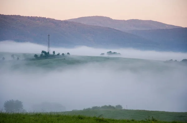Утренний Пейзаж Ржаным Туманом Прекрасный Летний Пейзаж Восхода Солнца — стоковое фото